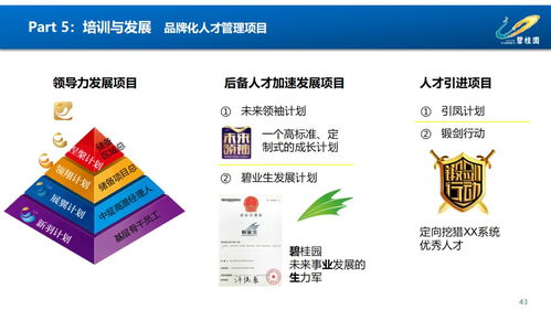 賦能組織，驅(qū)動未來 鳳廠人力資源管理體系構(gòu)建與優(yōu)化