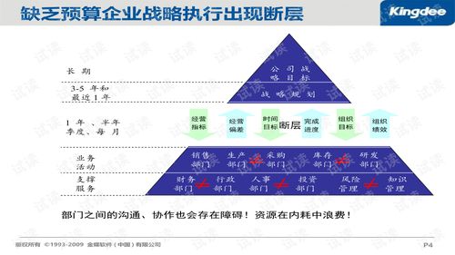 企業(yè)預(yù)算系統(tǒng)優(yōu)化 策略、實(shí)施與咨詢服務(wù)指南